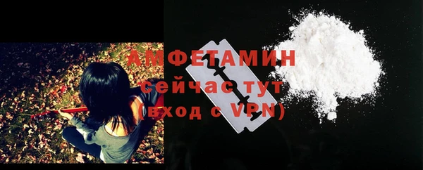 индика Бронницы