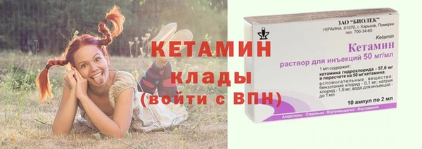индика Бронницы