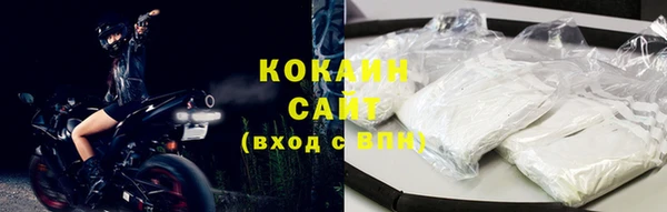 эйфоретик Бородино