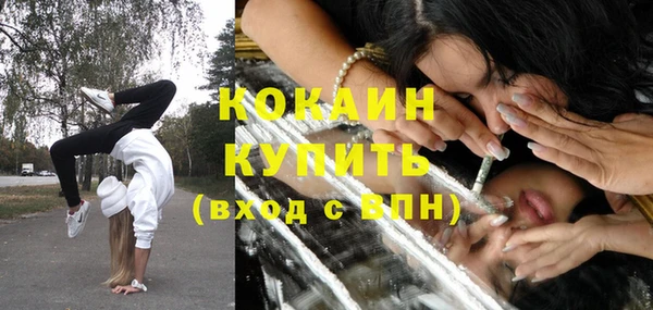 эйфоретик Бородино