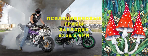 индика Бронницы