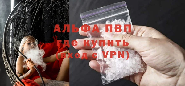 индика Бронницы