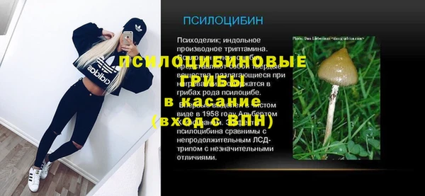 индика Бронницы